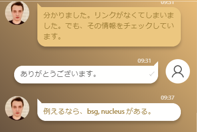 キングビリーカジノの日本語サポート