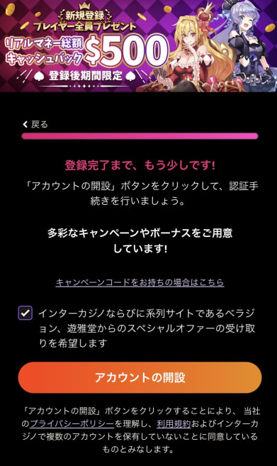 インターカジノの登録方法その7
