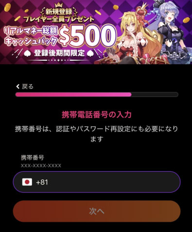 インターカジノの登録方法その5
