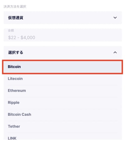 カジノフライデーのビットコイン入金