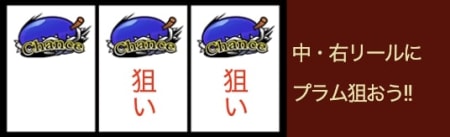 ウィッチローズのプラム