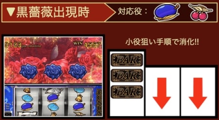 エンジェルローズの黒薔薇出現時