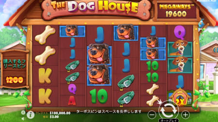 プラグマのドッグハウス
