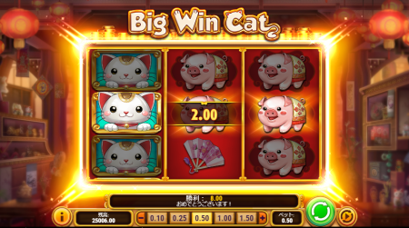 ビッグウィンキャット（Big Win Cat）