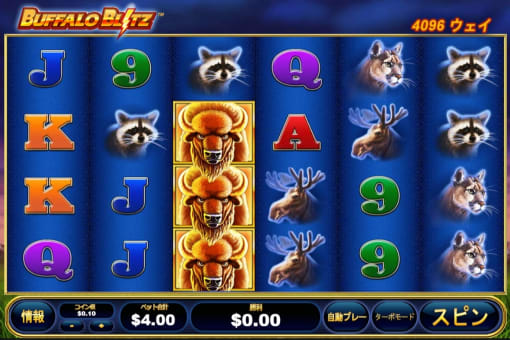 バッファローブリッツ(Buffalo Blitz)