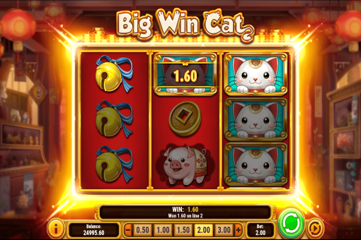 ビッグウィンキャット(Big Win Cat)