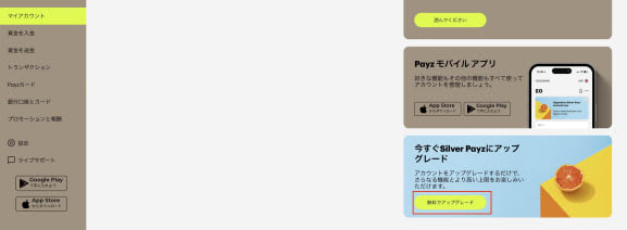 ペイズのアップグレード