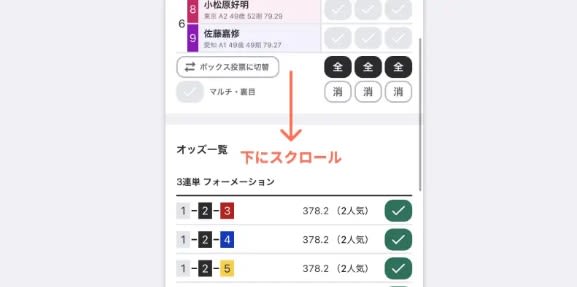 ウィンチケット投票
