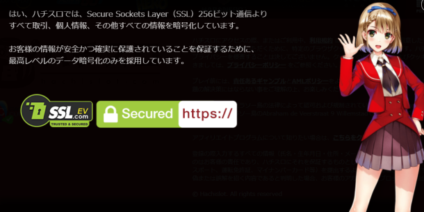 ハチスロ安全性