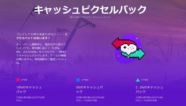 ピクセルベットのキャッシュピクセルバック