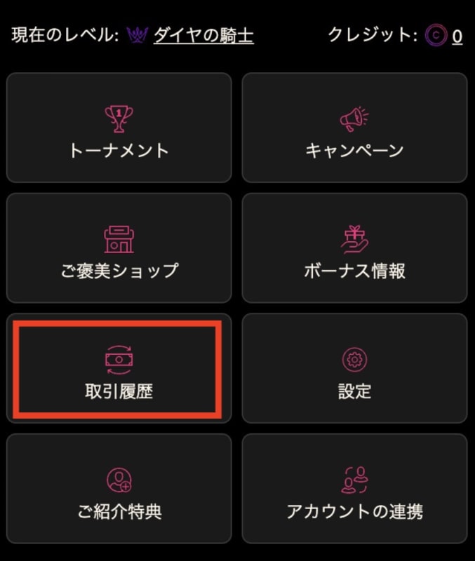 インターカジノの取引履歴