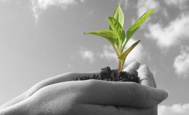 creation-of-new-life