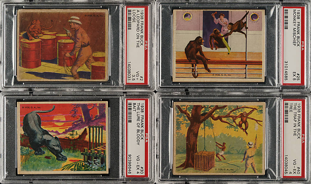 1938 R55 Gumakers of America Frank Buck "Bring 'Em Back Alive" Complete Set (48) Plus Handbook