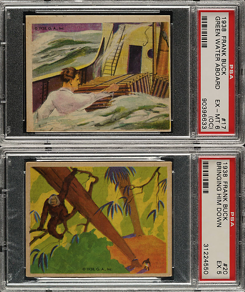 1938 R55 Gumakers of America Frank Buck "Bring 'Em Back Alive" Complete Set (48) Plus Handbook
