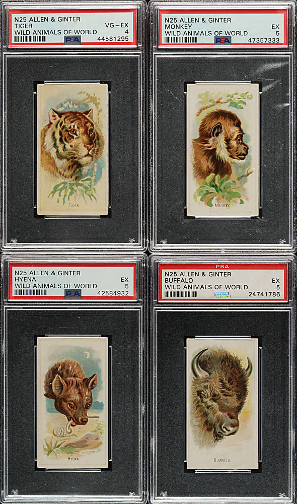 1888 N25 Allen & Ginter "Wild Animals of the World" PSA-Graded Collection (20)
