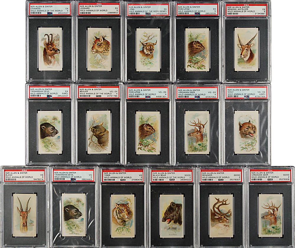 1888 N25 Allen & Ginter "Wild Animals of the World" PSA-Graded Collection (20)