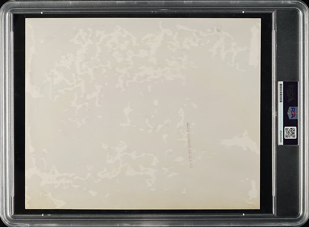 1956 Brooklyn Dodgers National League Champion Team Original Barney Stein Photograph PSA/DNA Type I