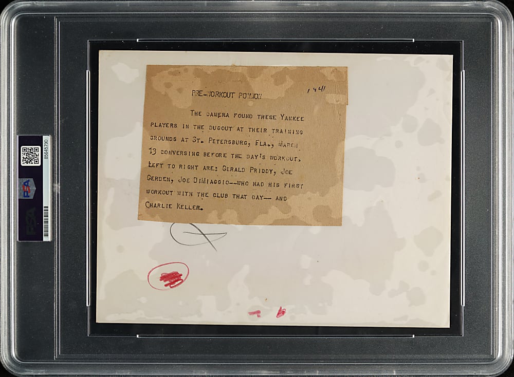 1941 New York Yankees Dugout with Joe DiMaggio Original Associated Press News Service Photograph PSA/DNA Type I