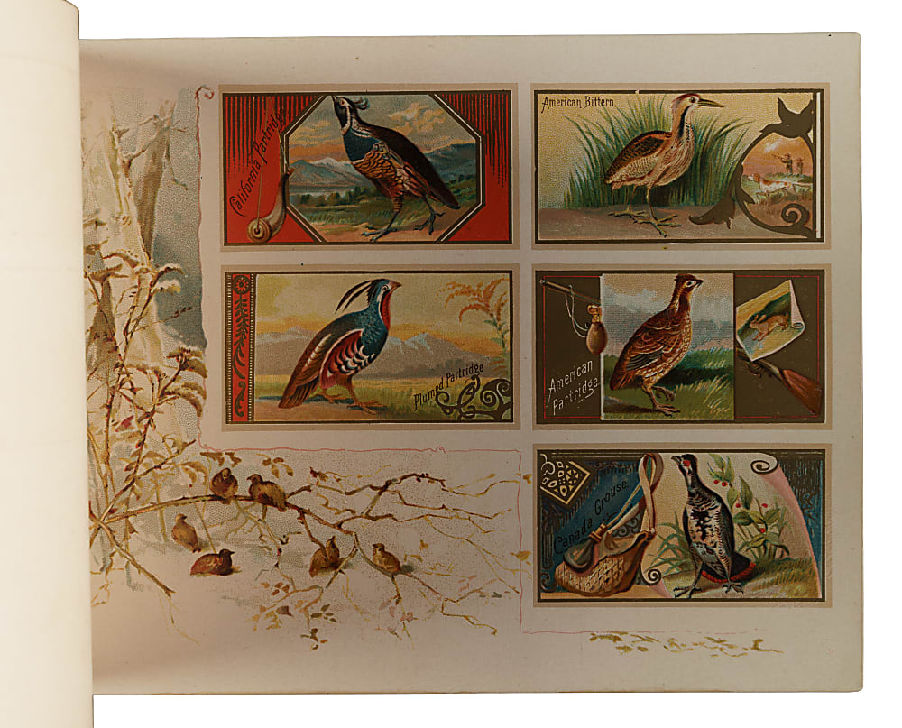 1889 A9 Allen & Ginter "Game Birds" Album
