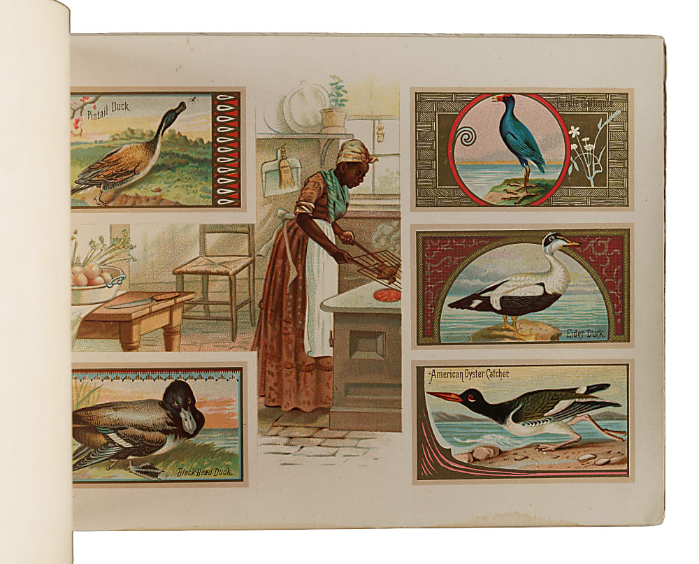 1889 A9 Allen & Ginter "Game Birds" Album