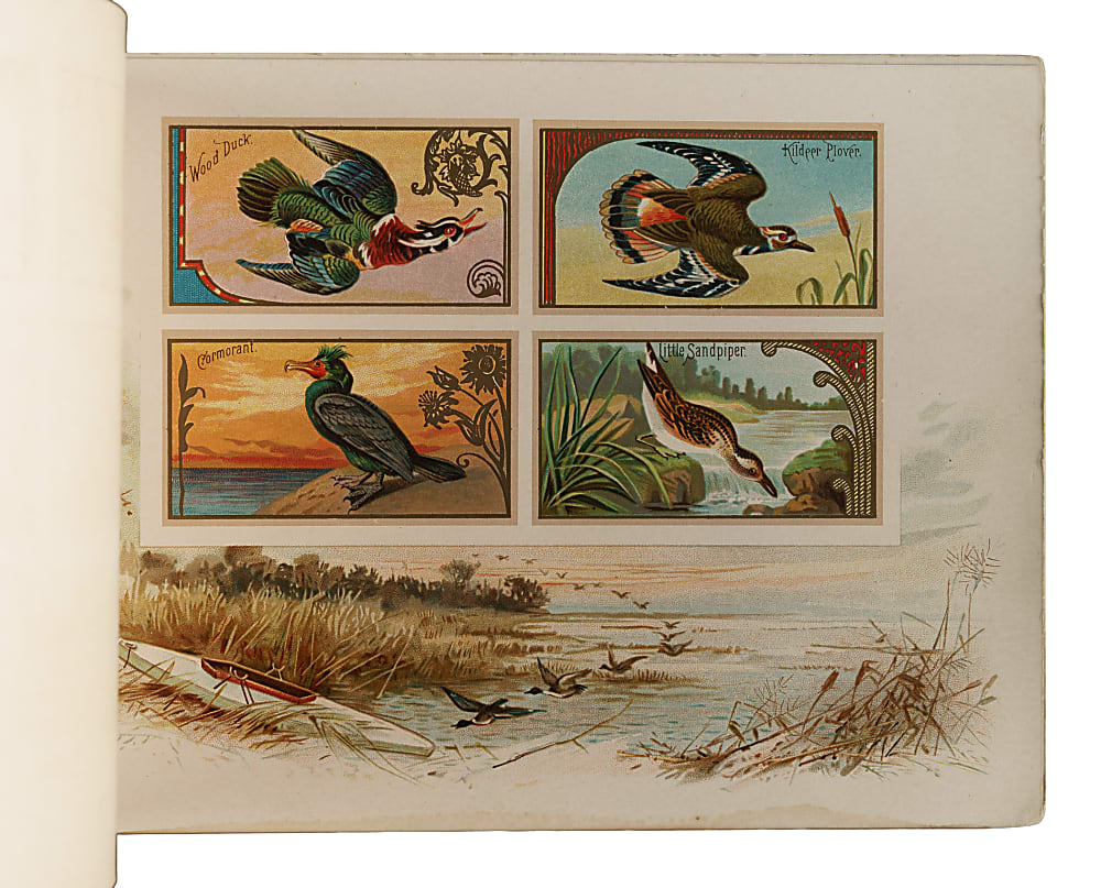 1889 A9 Allen & Ginter "Game Birds" Album
