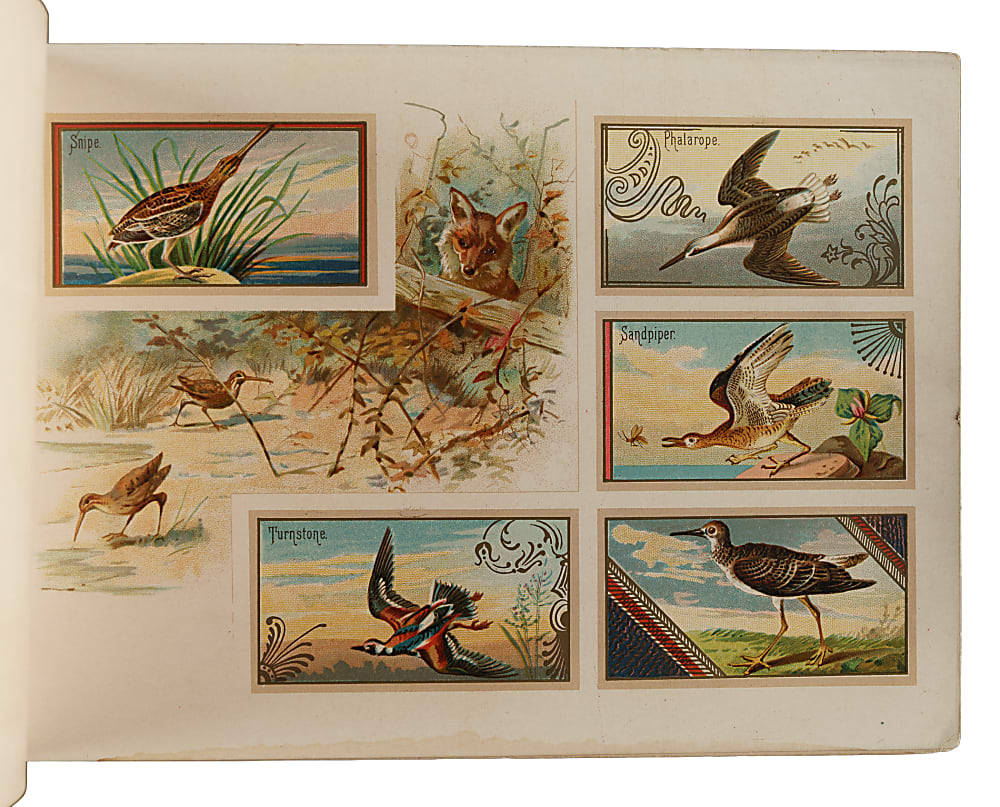 1889 A9 Allen & Ginter "Game Birds" Album