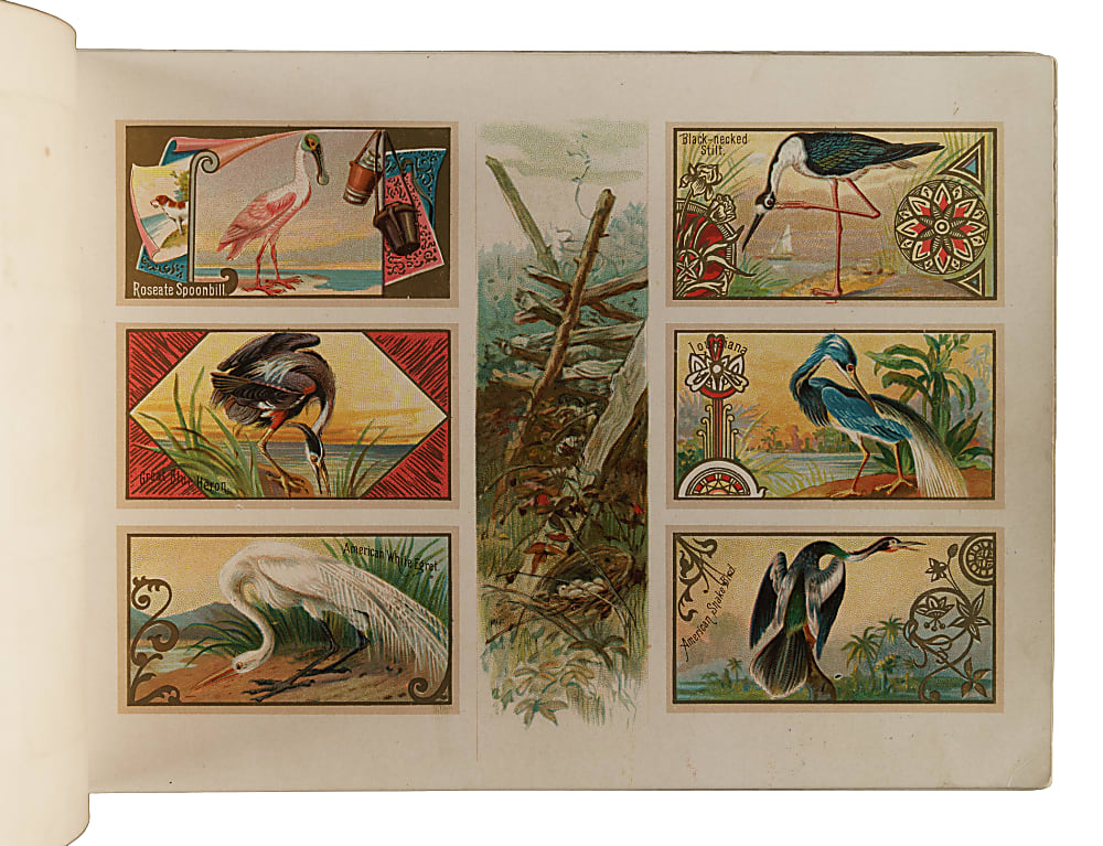 1889 A9 Allen & Ginter "Game Birds" Album
