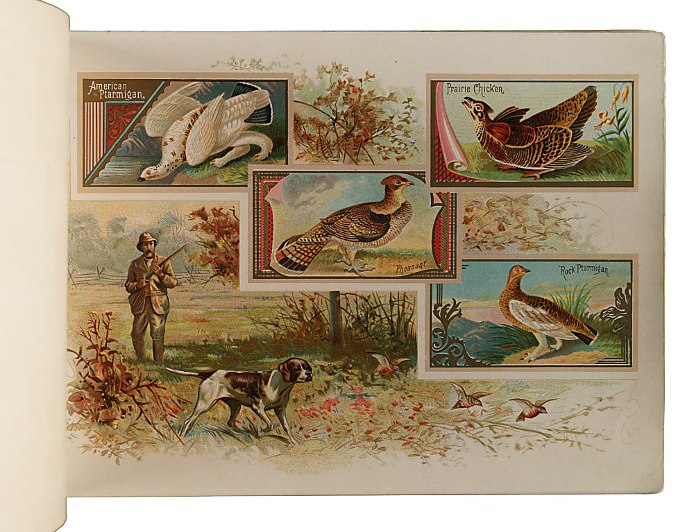 1889 A9 Allen & Ginter "Game Birds" Album