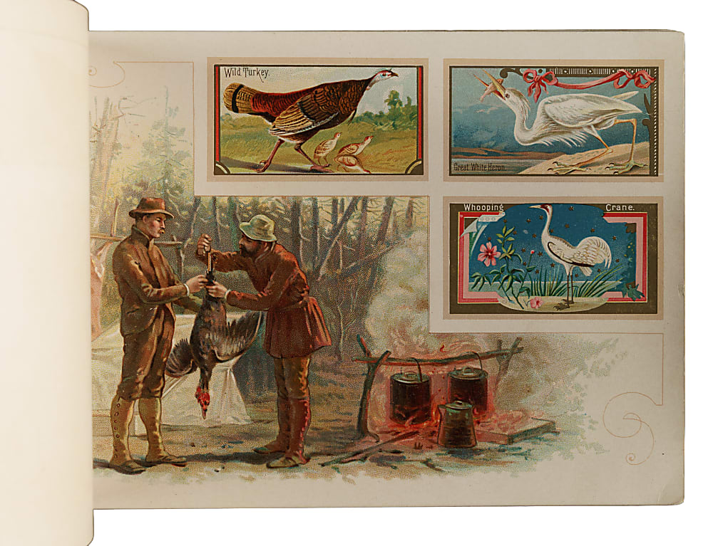 1889 A9 Allen & Ginter "Game Birds" Album