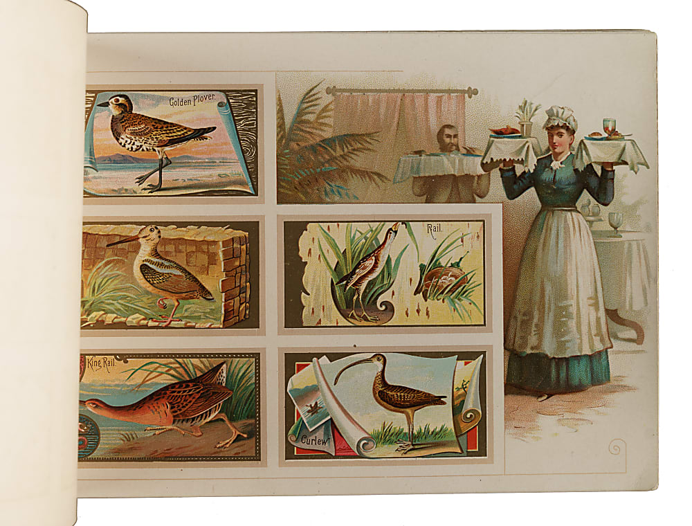 1889 A9 Allen & Ginter "Game Birds" Album