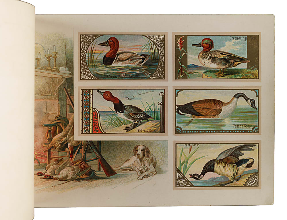 1889 A9 Allen & Ginter "Game Birds" Album