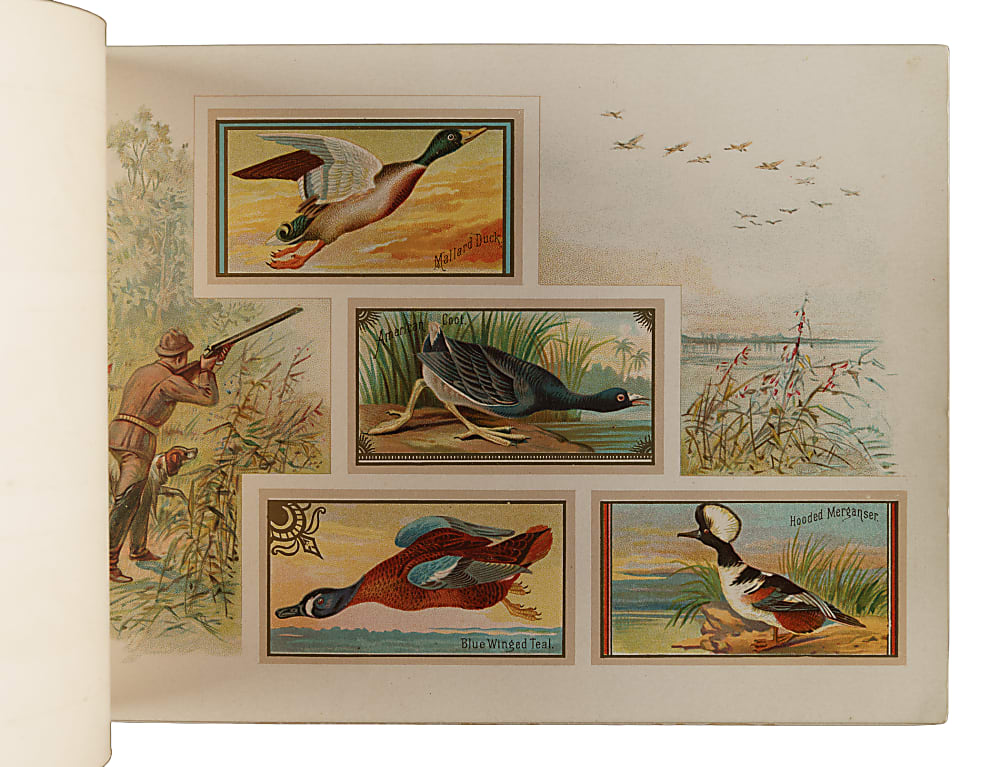 1889 A9 Allen & Ginter "Game Birds" Album