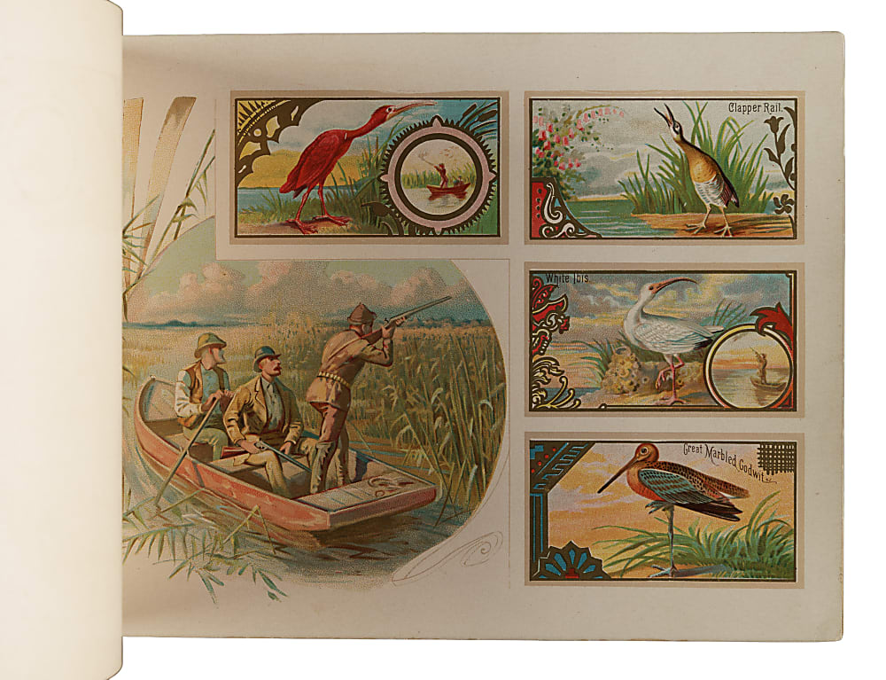 1889 A9 Allen & Ginter "Game Birds" Album