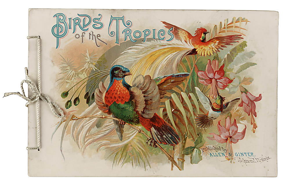 Circa 1889 A4 Allen & Ginter "Birds of the Tropics" Album