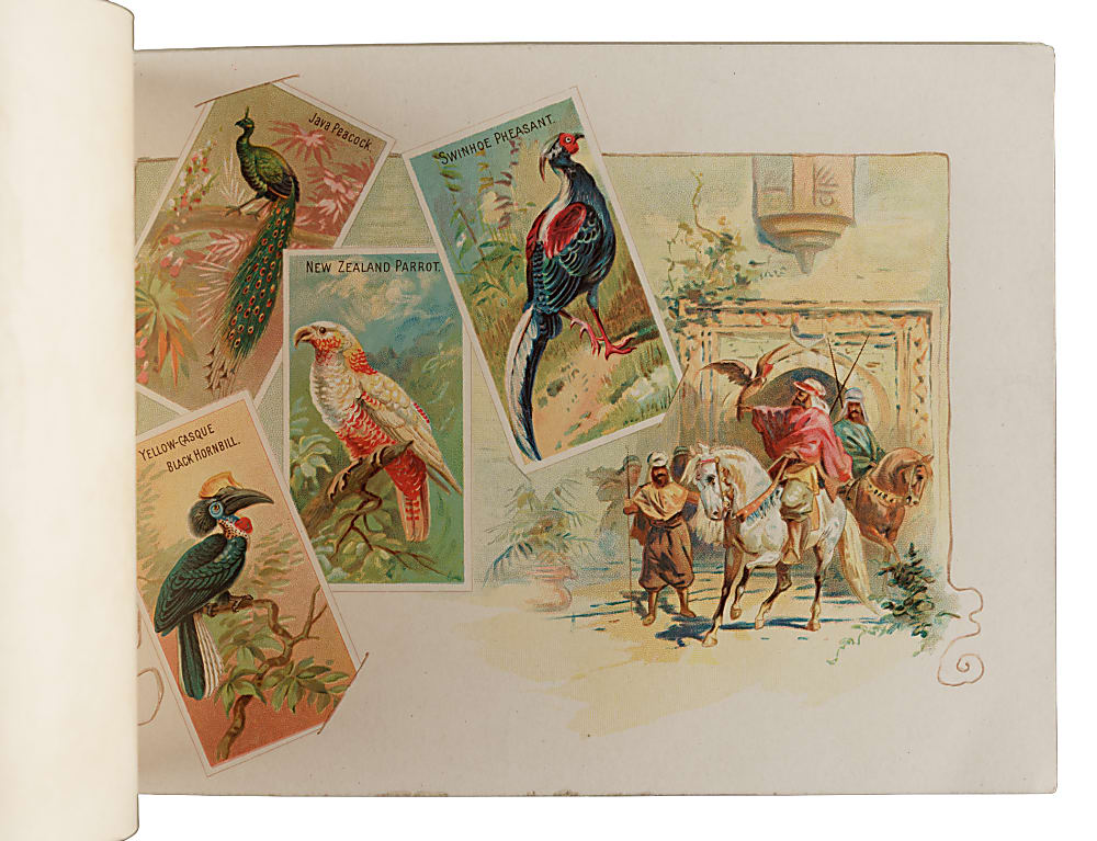 Circa 1889 A4 Allen & Ginter "Birds of the Tropics" Album