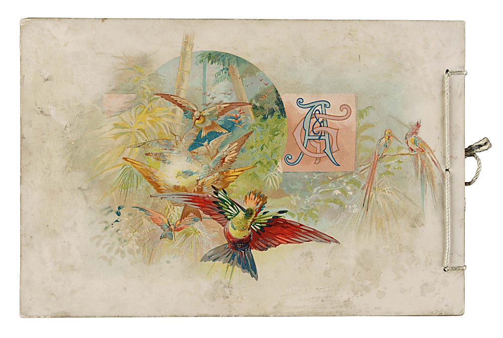 Circa 1889 A4 Allen & Ginter "Birds of the Tropics" Album
