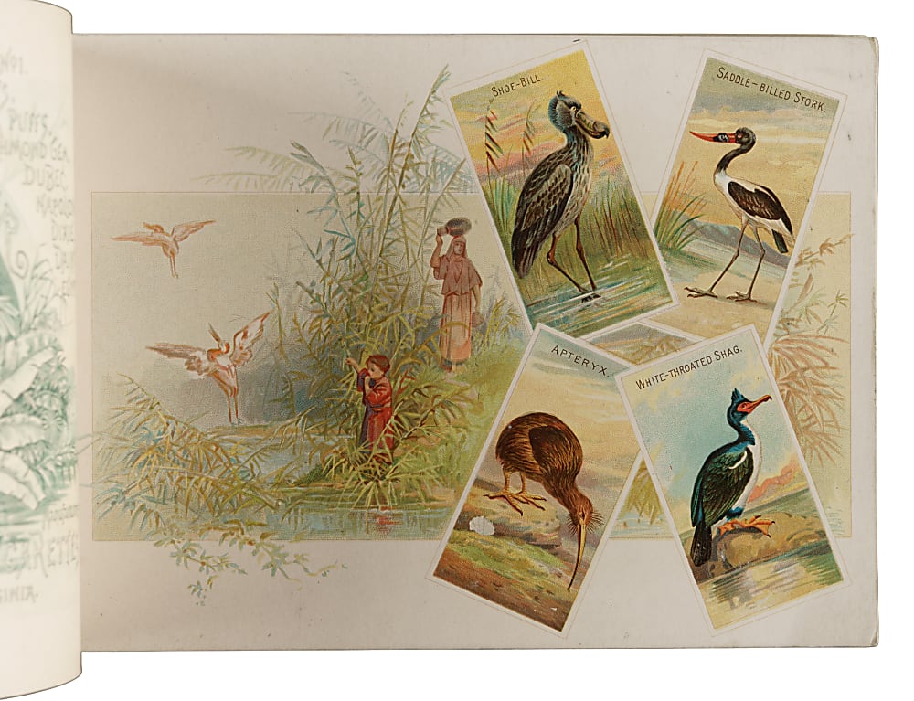 Circa 1889 A4 Allen & Ginter "Birds of the Tropics" Album