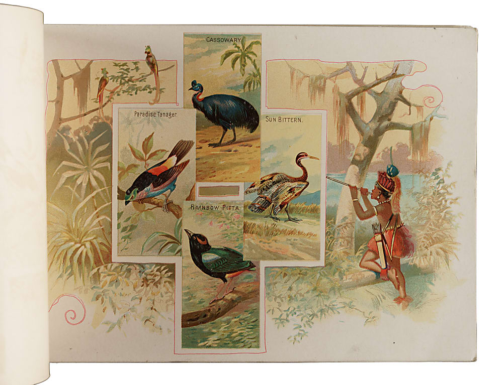 Circa 1889 A4 Allen & Ginter "Birds of the Tropics" Album