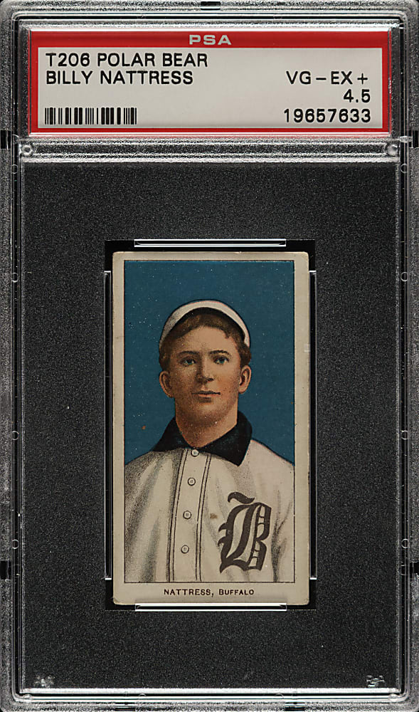 1909-1911 T206 White Border Billy Nattress PSA VG-EX+ 4.5 - Polar Bear Back