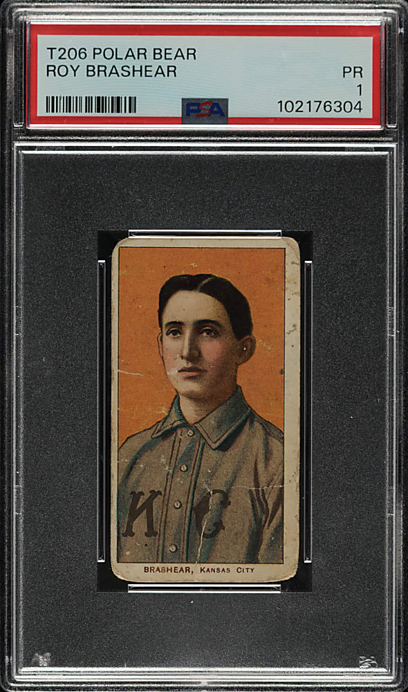 1909-1911 T206 White Border Roy Brashear PSA POOR 1 - Polar Bear Back