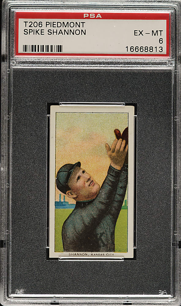 1909-1911 T206 White Border Spike Shannon PSA EX-MT 6