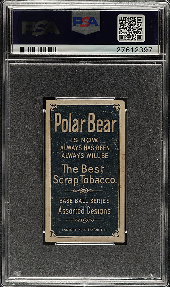 1909-1911 T206 White Border Germany Schaefer Washington PSA VG-EX 4 - Polar Bear Back