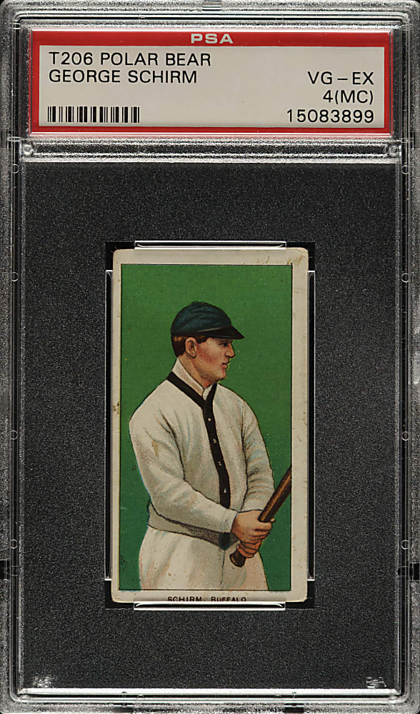 1909-1911 T206 White Border George Schirm PSA VG-EX 4 (MC) - Polar Bear Back
