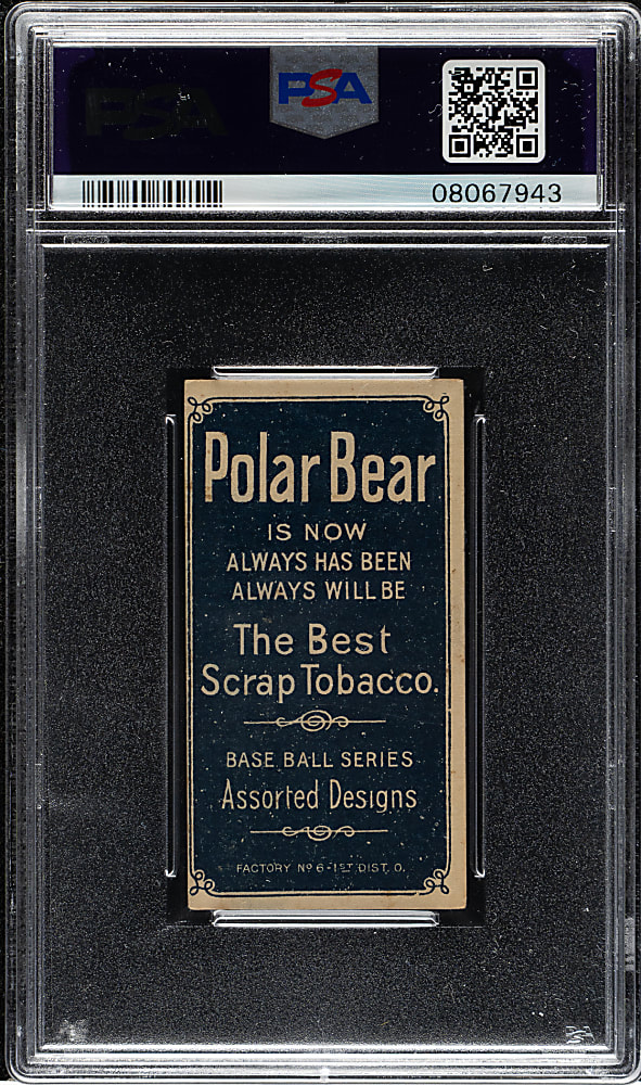 1909-1911 T206 White Border Walter Johnson Hands at Chest PSA EX-MT 6 - Polar Bear Back - 1 of 3 - Highest Graded!