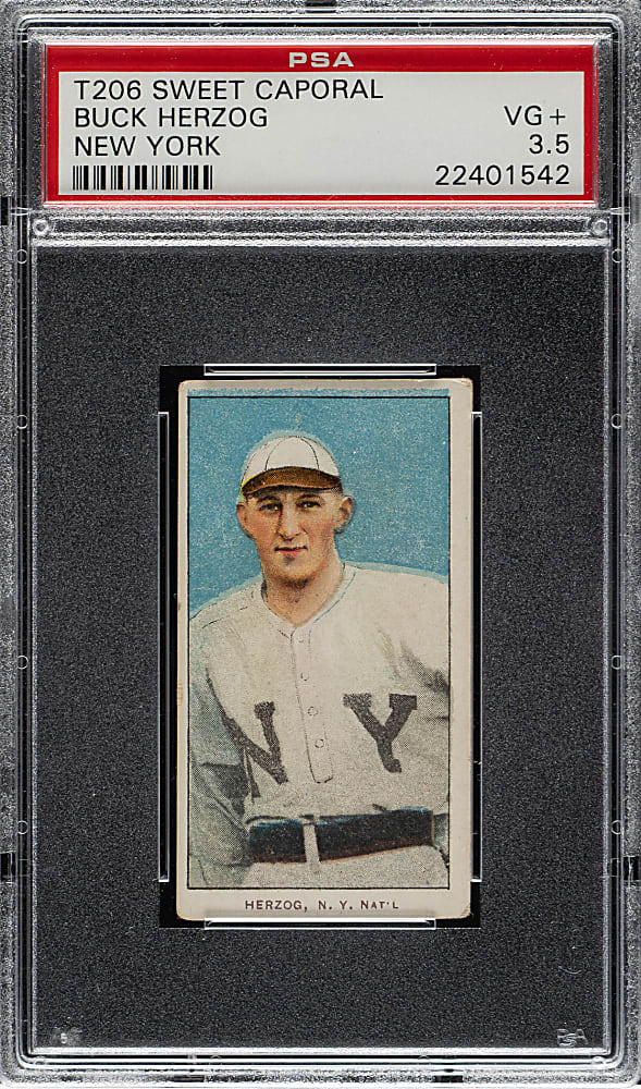 1909-1911 T206 White Border Buck Herzog New York PSA VG+ 3.5