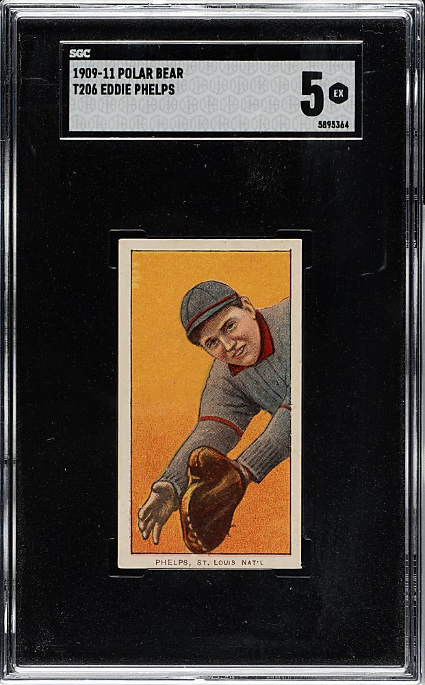 1909-1911 T206 White Border Eddie Phelps SGC EX 5 - Polar Bear Back