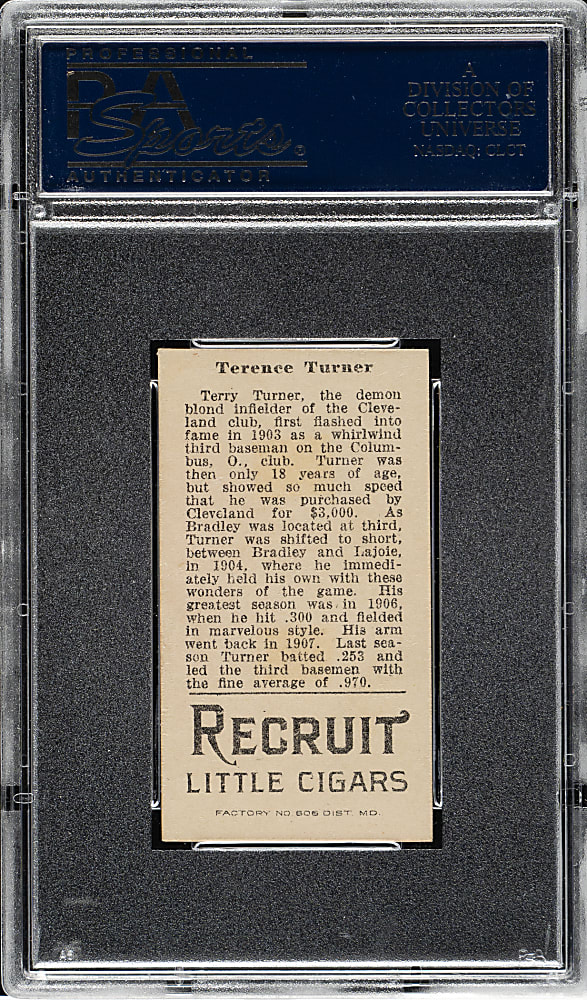1912 T207 Brown Background Terry Turner PSA EX 5