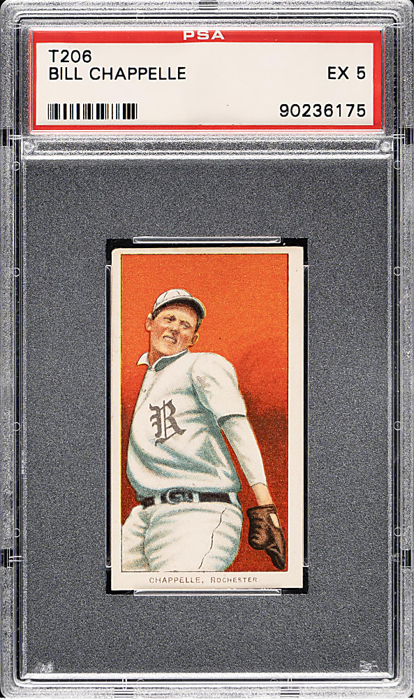1909-1911 T206 White Border Bill Chappelle PSA EX 5 - Cycle 350 Back