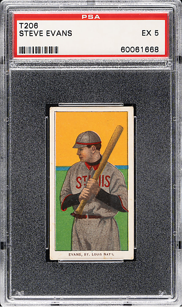 1909-1911 T206 White Border Steve Evans PSA EX 5 - Polar Bear Back