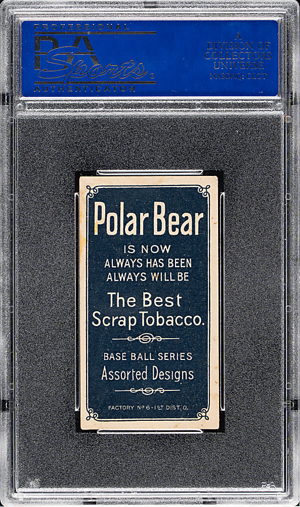 1909-1911 T206 White Border Steve Evans PSA EX 5 - Polar Bear Back